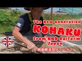 The New Generation of Kohaku @ NND KoiFarm