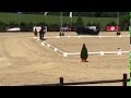 Magdalena Jura POL CDI4 Luxemburg 2018