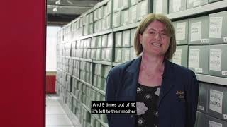 Building the archives (English subtitles)