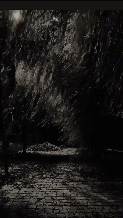 Carol Of The Bells 🥀🎧 #aesthetic #nature #dorest #dark #vibes #moodys