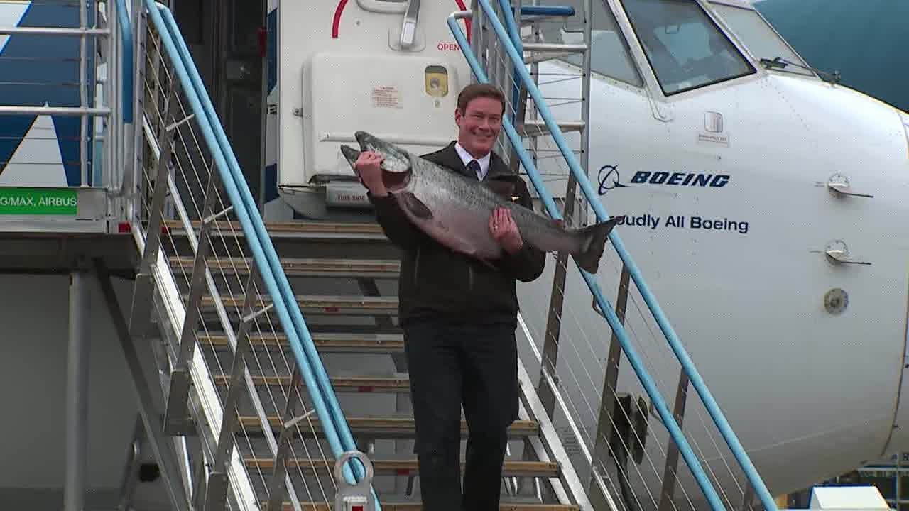 First Copper River salmon of season arrives in Seattle FOX 13 Seattle