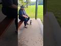 9240. Sit stay front handler ignore Nala  dog thrown treats people rain Esplanade 15 June 2026 MM