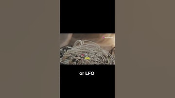 🎛️ Modulation & LFOs: Adding Motion to Your Music! 🎶✨ Learn how to use modulation and