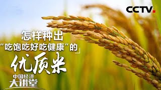 什么样的水稻才算优质水稻？怎样利用前沿科技推动我国水稻育种进入全新阶段？「中国经济大讲堂」 20230101 | CCTV财经