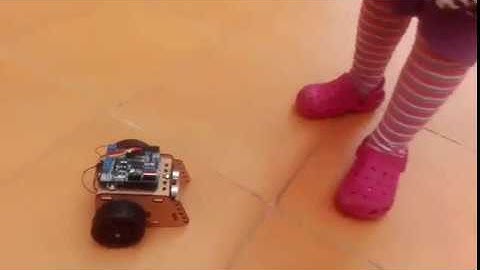 Robot evasor de obstáculos - Blui