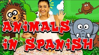 Wild Animals In Spanish | Language Learners