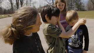 A Collaborative Teaching Model to Mimic Even When There’s No Eclipse Net Worth