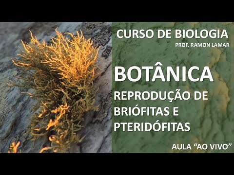 REPRODUÇÃO DE BRIÓFITAS E PTERIDÓFITAS