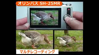 オリンパス SH-25MR(カメラのキタムラ動画_Olympus) - YouTube