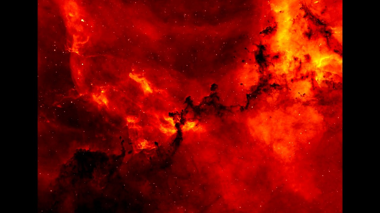 Tiger - Ambient works V : Brightly colored plastic bugs