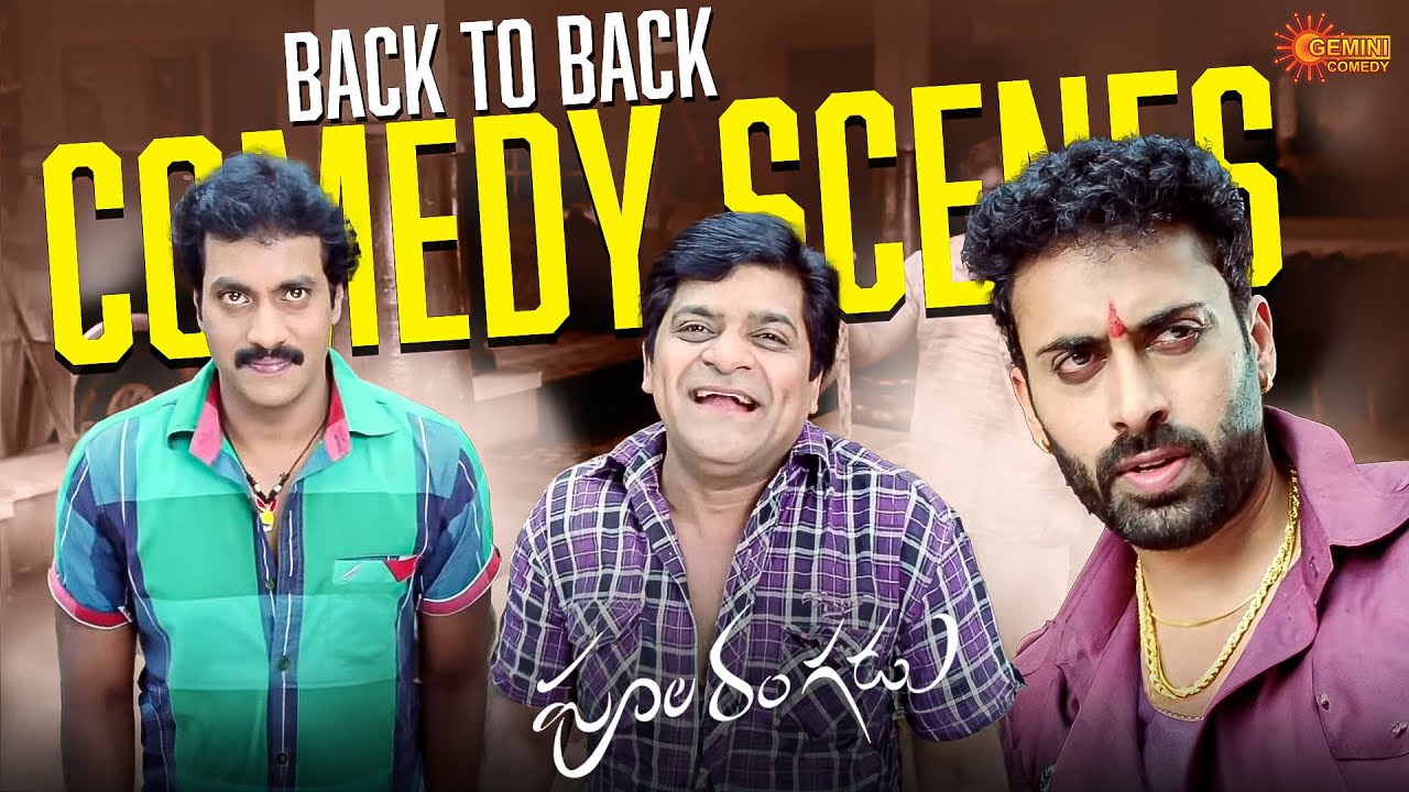 Back to Back Comedy Scenes 😅| Poola Rangadu | Sunil | Isha Chawla | Ali | Telugu Comedy scene