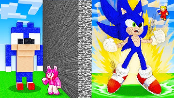 I Cheated With SONIC in Minecraft Build Battle!