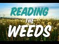 Reading the weeds  applying permaculture soil science with matt powers