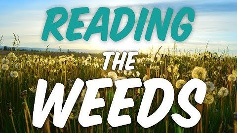 Reading the Weeds | Applying Permaculture Soil Science with Matt Powers