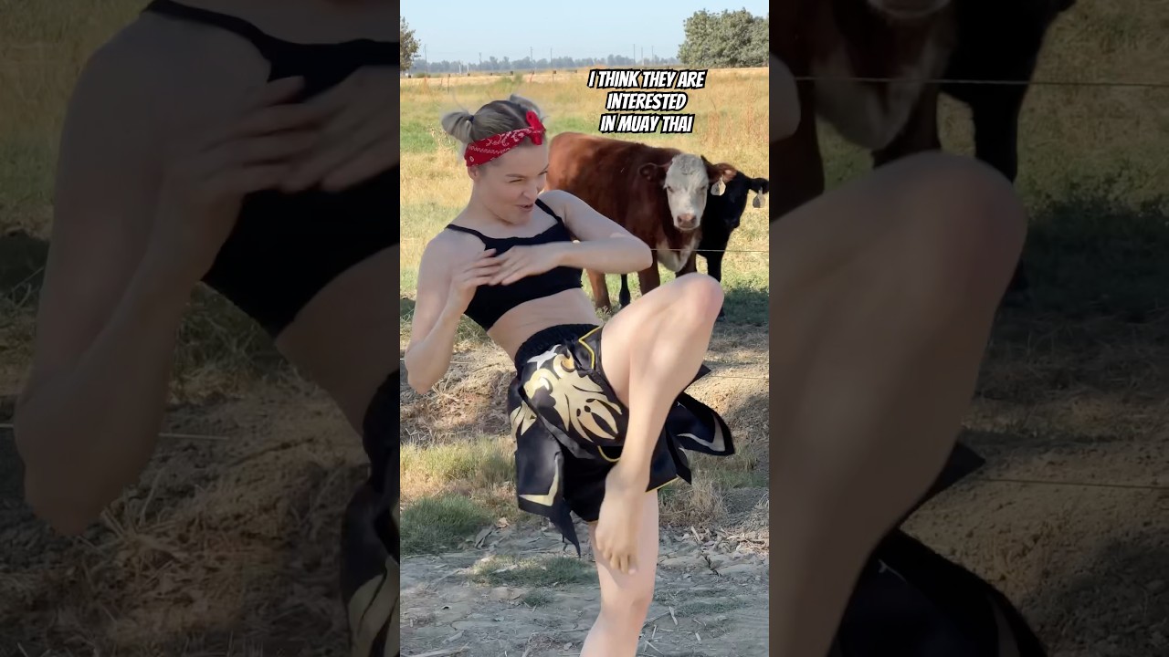 Can cows train Muay Thai? 🐮😆 
