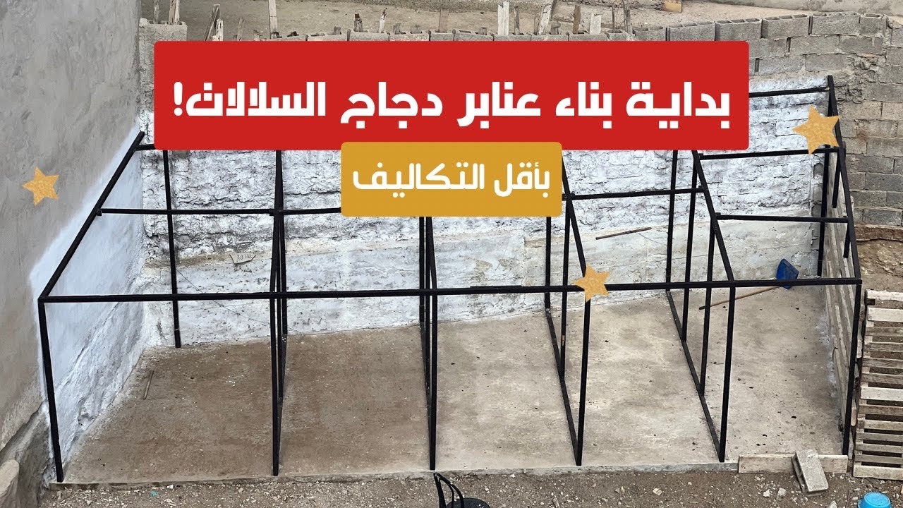 عنابر دجاج سلالات في مساحة صغيرة! خطوة بخطوة للمبتدئين (الجزء 1)