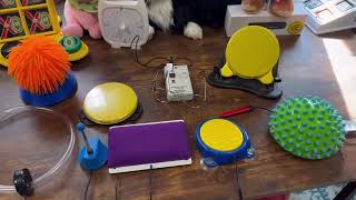 FAAST Demonstration of Accessibility Switches