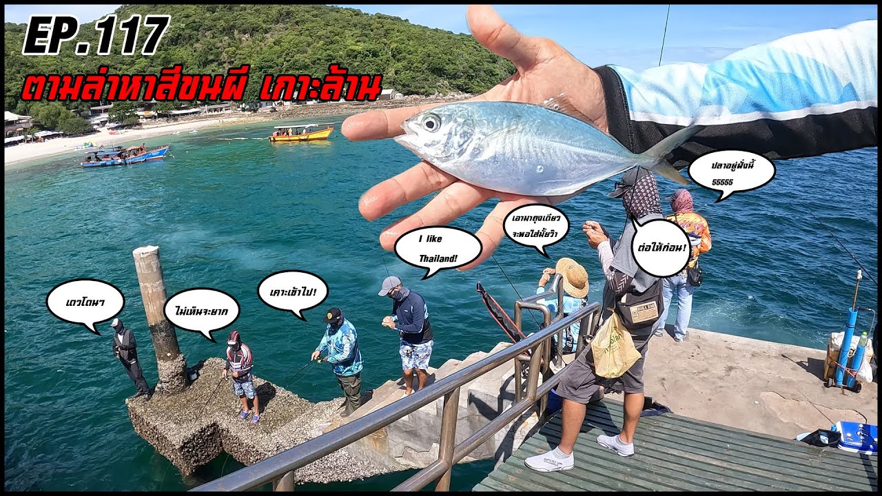 EP.117 ตามล่าหาสีขนผีเกาะล้าน