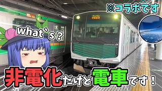 【コラボ】非電化区間を走る"電車"!?東武線株主優待券で宇都宮プチ旅行【ゆっくり鉄道旅】