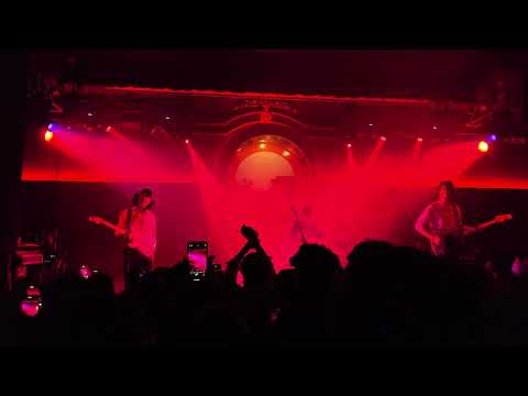 Last Dinosaurs -