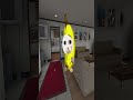 Banana Cat Family Comes Home #gmod 🍌😺