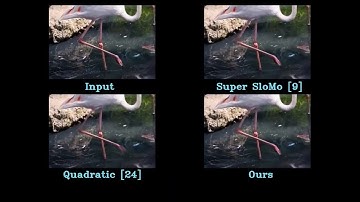 ECCV2020: All at Once: Temporally Adaptive Multi-Frame Interpolation with Advanced Motion Modeling.