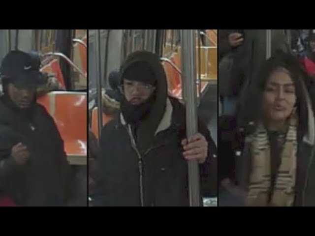 Bronx Bp Gibson Addresses Subway Crime