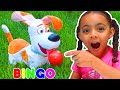 Bingo Song + The Play Ground Song | More Nursery Rhymes and Kids Songs