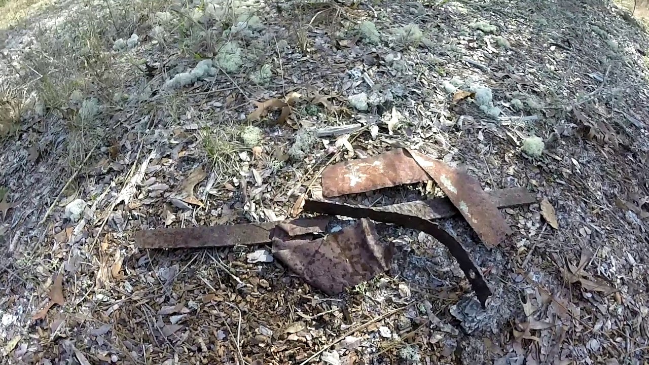 ghost town vallejo Turpentine History at Goethe State Forest (Part Two)