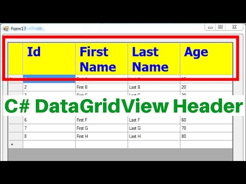 C# DataGridView Header Tutorial [ with source code ]