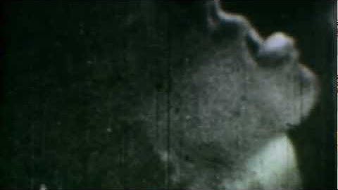 The Miracle of the Visible Communion