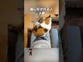 「猫の好かれる人3選」猫あるある|フルはSpotifyほか