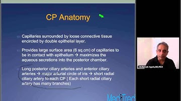 Glaucoma Lecture Series 2: Aqueous Humor & Outflow Pathway