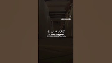 تلاوة تفوق الخيال #الشيخ_محمد_اللحيدان #القرآن_الكريم #quran #رمضان