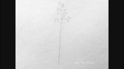 Autistici - Event Twelve