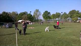 Akela 2014 04 26 WZT