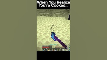 When Your Elytra Breaks In The End