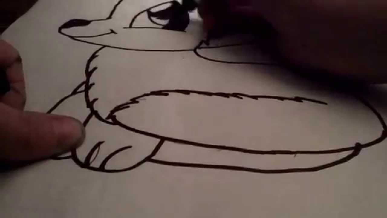 Let's draw: Cute arctic fox - YouTube