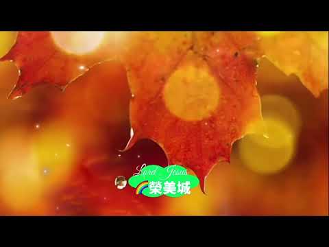 他等候一座城-大本771-作詞:和受恩