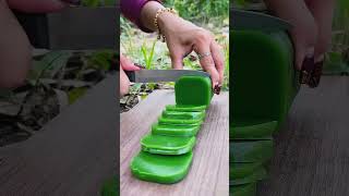 Survival Skills: SMART idea and USEFUL#bushcraft#camping#outdoors#survival