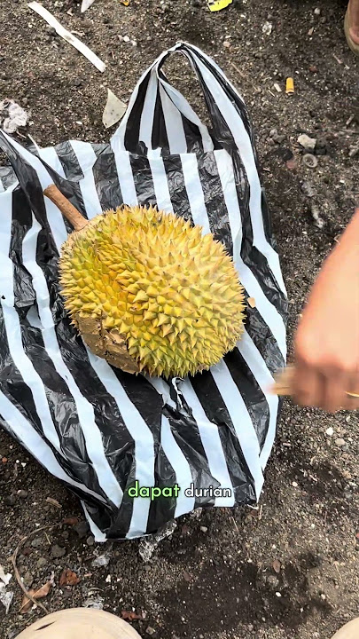 Belah durian