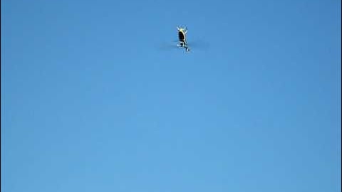 T-Rex 500 at the park - first inverted hover and assorted sporty flippy things