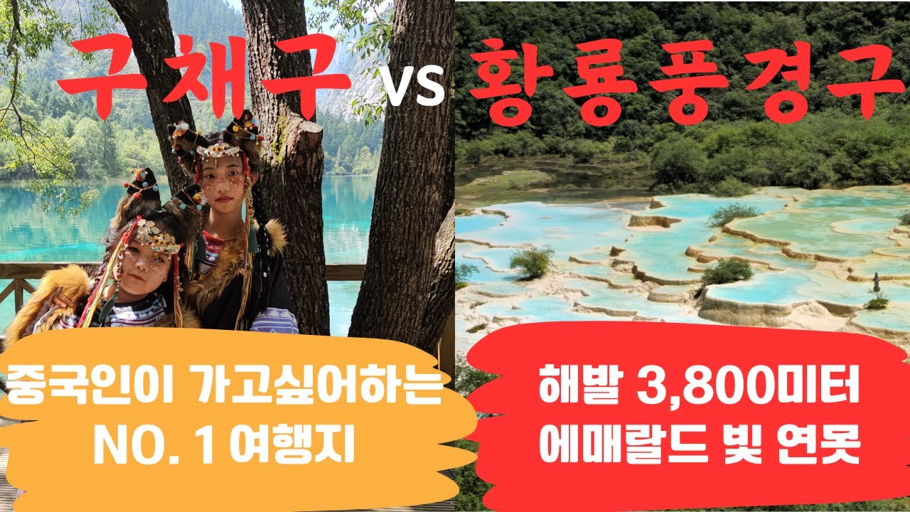 [중국여행]구채구&황룡풍경구 몰아보기 #청두 #사천성 #구채구 #황룡풍경구 #중국여행 #세계여행 #배낭여행 #혼여 #나홀로여행 ...