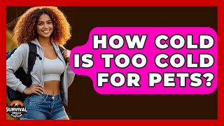 How Cold Is Too Cold For Pets? - Survival Skills for Everyone