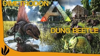 Fr Ark Survival Evolved - Dimetrodon & Dung Beetle