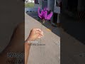 #customized #flowers #smallbusinessidea #reelstrending #explore #handcraft #viral