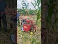 "Satisfying Corn Harvesting Machine Compilation 😍"#agriculture #farming #farmlife #technology #short