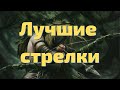 Лучшие стрелки Warhammer 2 Total War