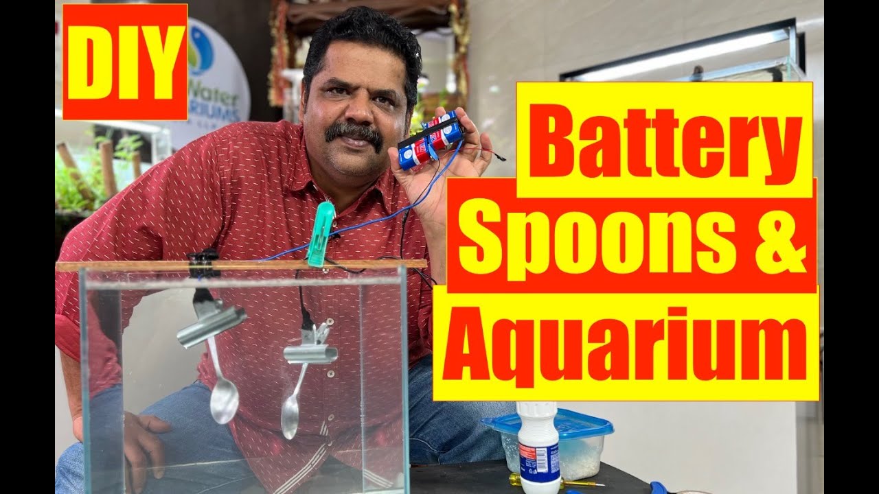 How to Disinfect Aquarium DIY IDEAS Electrolysis Mayur Dev