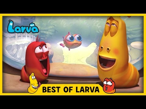 LARVA | BEST OF LARVA | Funny Cartoons for Kids | Cartoons For Children | LARVA 2017 WEEK 20 LARVA | BEST OF LARVA | Funny Cartoons for Kids | Cartoons For Children | LARVA 2017 WEEK 20